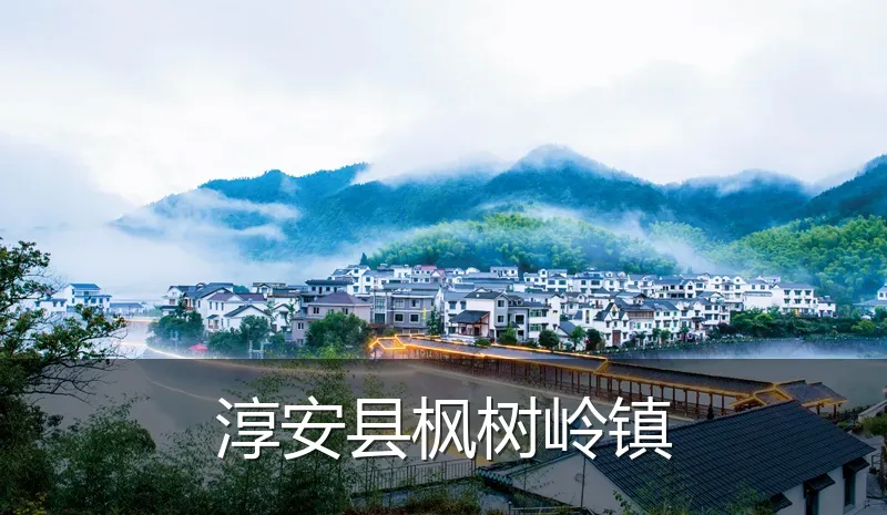 淳安县枫树岭镇